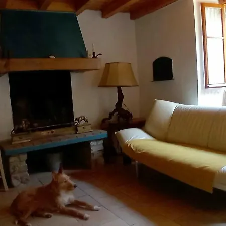 Le Courtiel - Maison De Village * Suc-et-Sentenac
